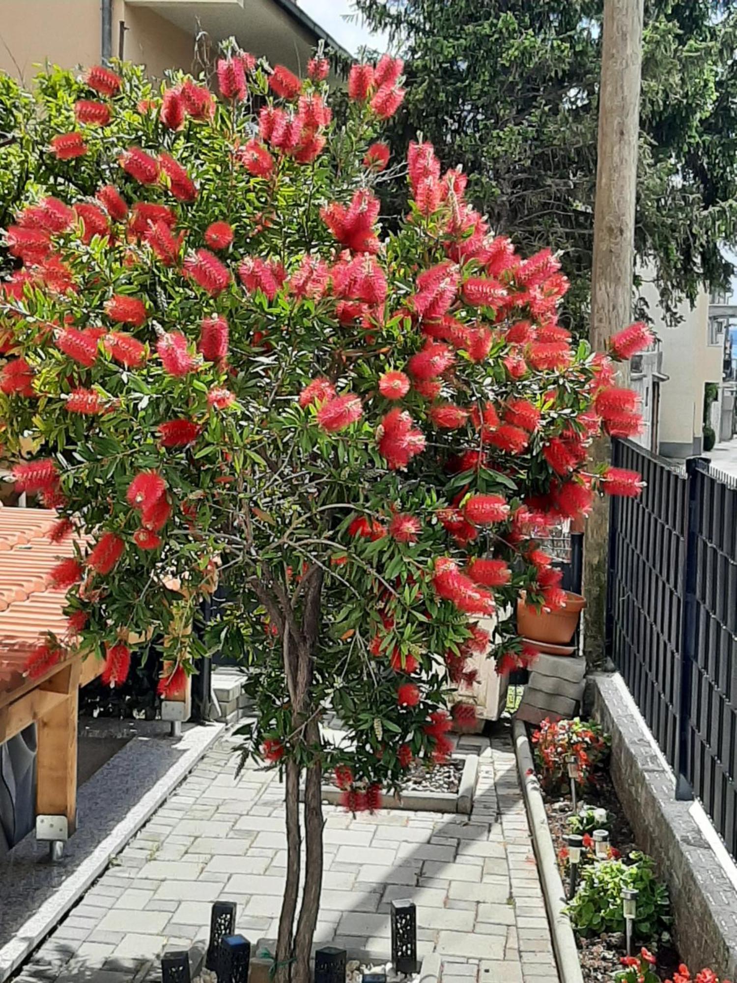 Kaštela Apartment Radalj מראה חיצוני תמונה